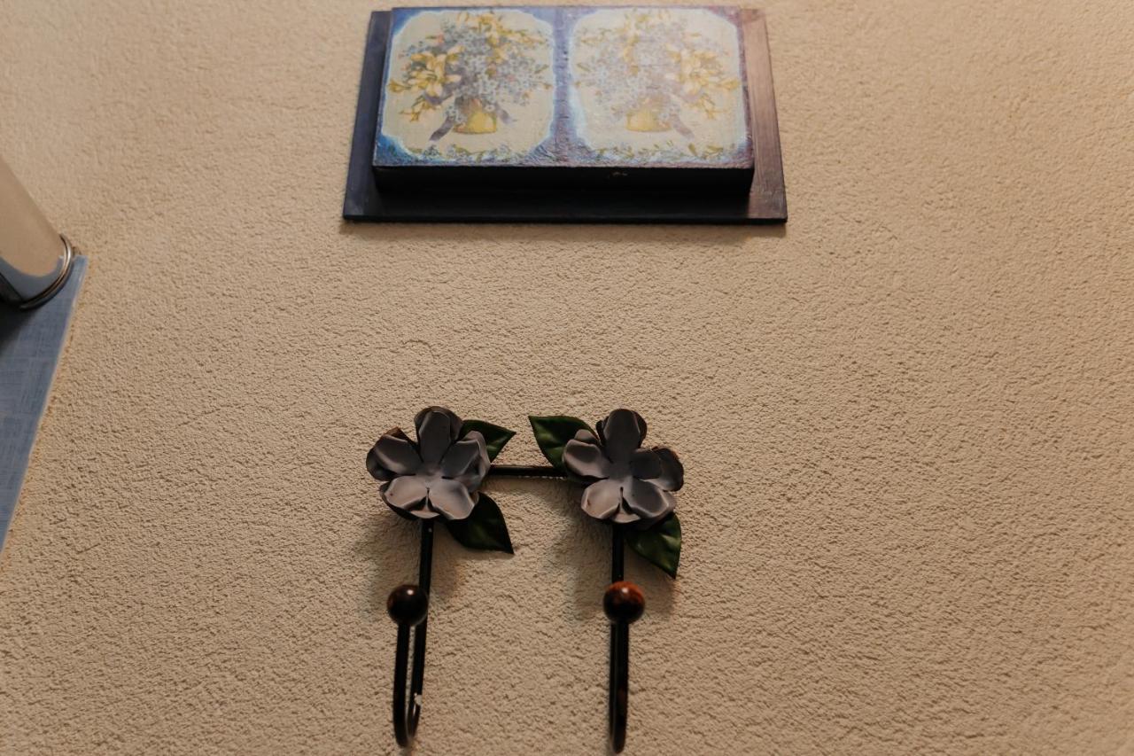 Hotel Pousada Chale Das Flores Sertãozinho Εξωτερικό φωτογραφία